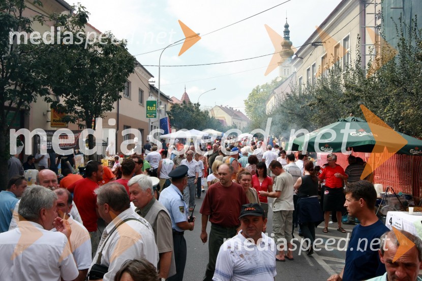 Glava ulica LendavaBogračfest 2008