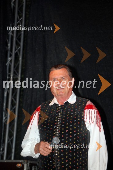 Janez Dolenc, Ansambel Lojzeta SlakaGrand rock Sevnica 2008