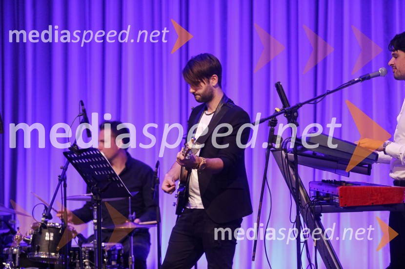 Veliki dobrodelni Lions ples 2019