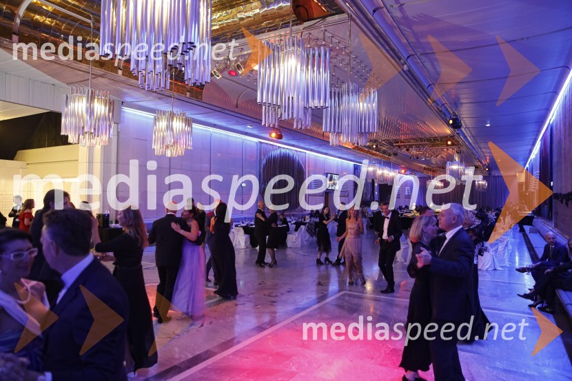 Veliki dobrodelni Lions ples 2019