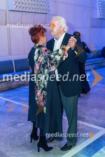 Veliki dobrodelni Lions ples 2019