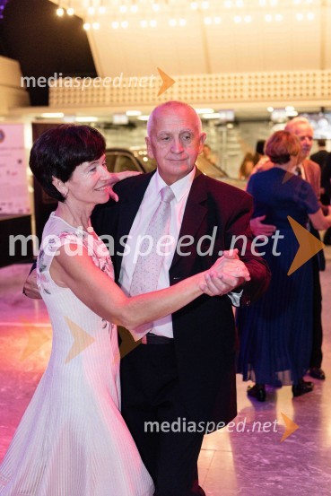 Veliki dobrodelni Lions ples 2019