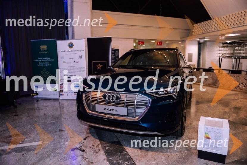 Veliki dobrodelni Lions ples 2019