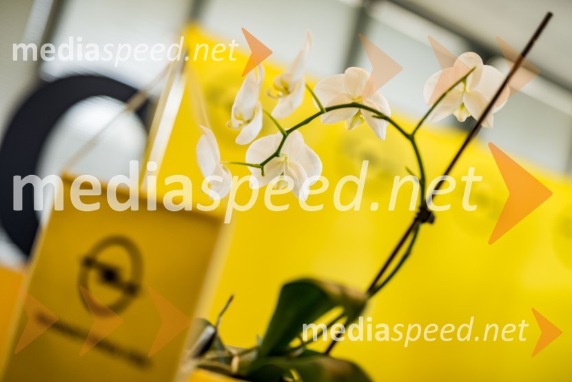 Slovenska predstavitev Oplove ponudbe gospodarskih vozil