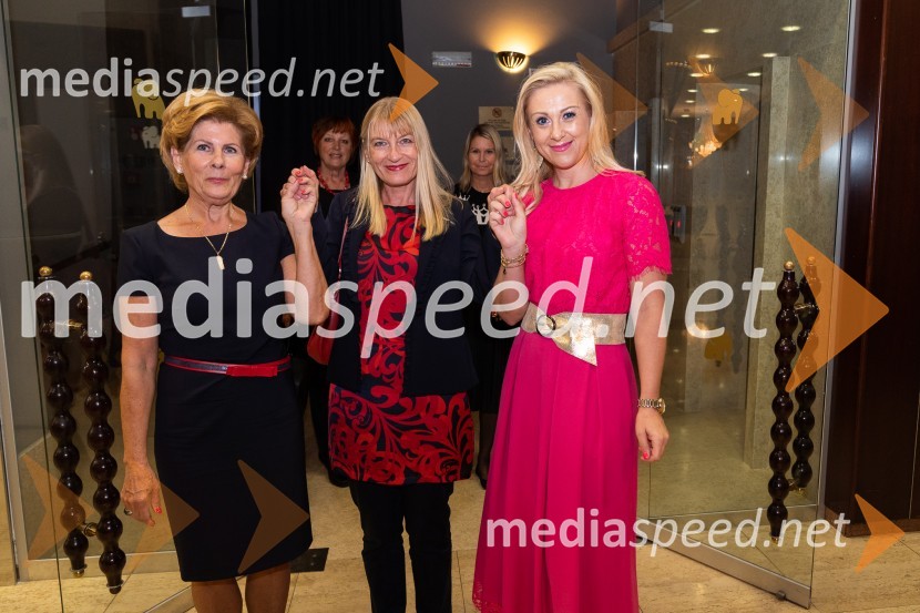  Tatjana  Kolenc;  ... ;  Klaudija Javornik,  Adacta d.o.o.Predstavitev knjige Klaudije Javornik & Tatjane Kolenc: Do srčnega voditeljstva