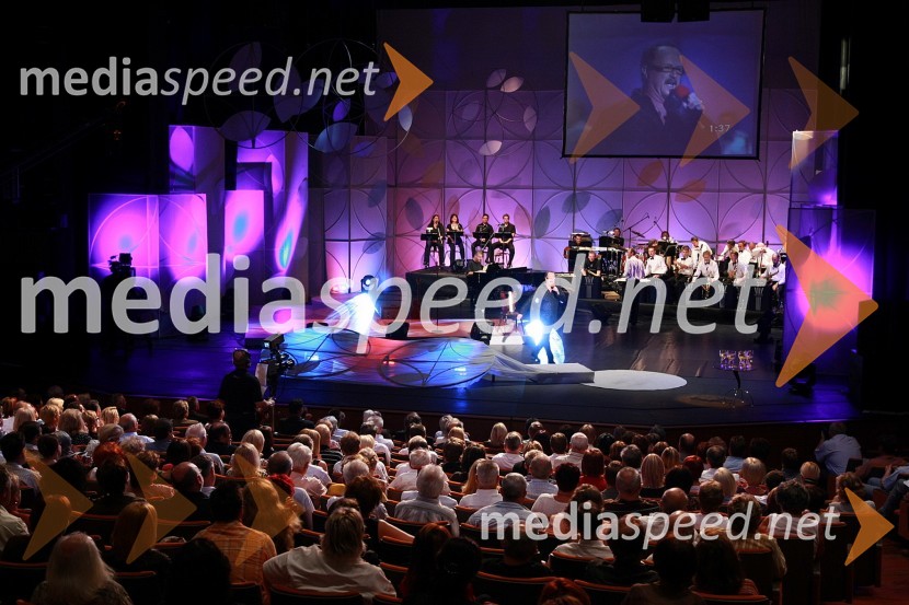 Festival narečnih popevk 2008