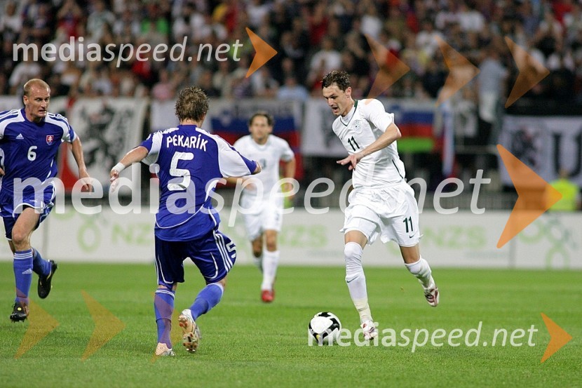 Peter Pekarik, slovaški nogometaš in Milivoje Novakovič, slovenski nogometaš inNogomet, Slovenija - Slovaška, Kvalifikacije SP 2010