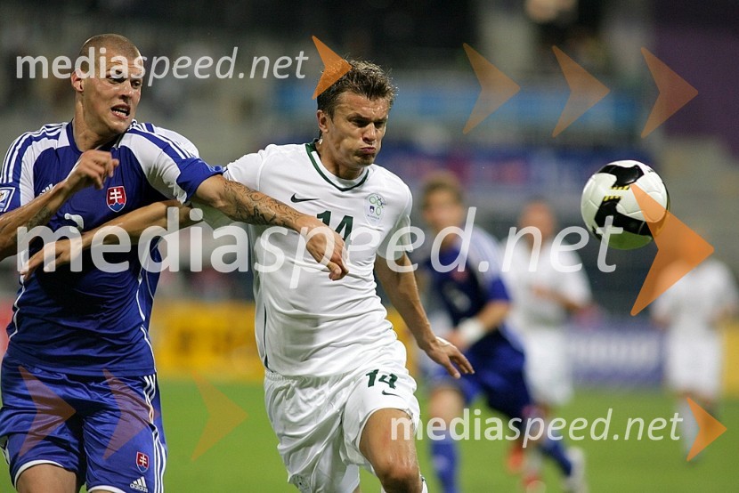 Nogomet, Slovenija - Slovaška, Kvalifikacije SP 2010