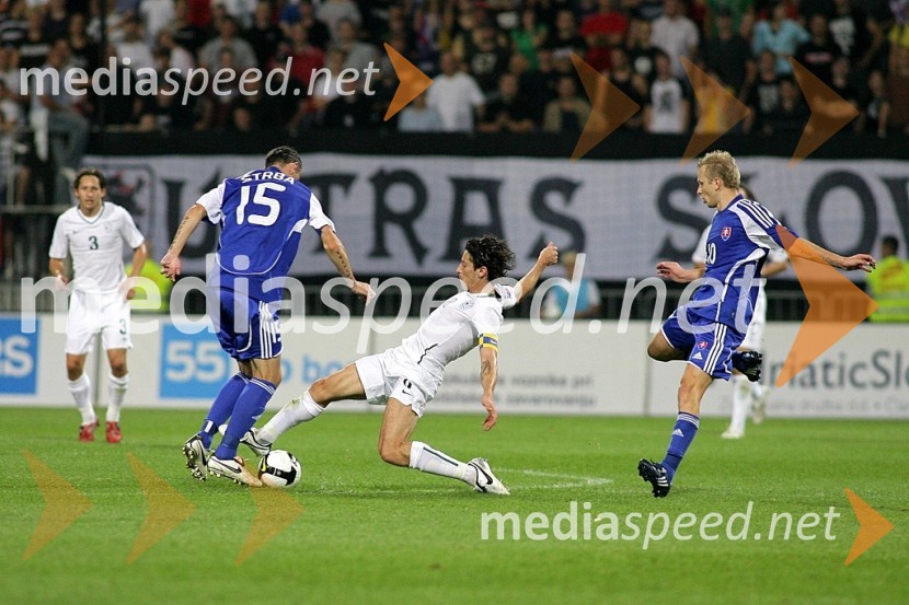 Nogomet, Slovenija - Slovaška, Kvalifikacije SP 2010