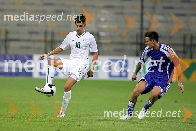 Nogomet, Slovenija - Slovaška, Kvalifikacije SP 2010