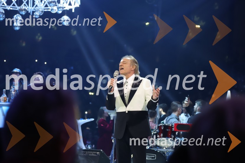  Alfi Nipič, pevecSilvestrski pozdrav 2019
