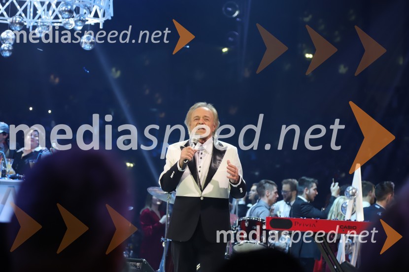  Alfi Nipič, pevecSilvestrski pozdrav 2019