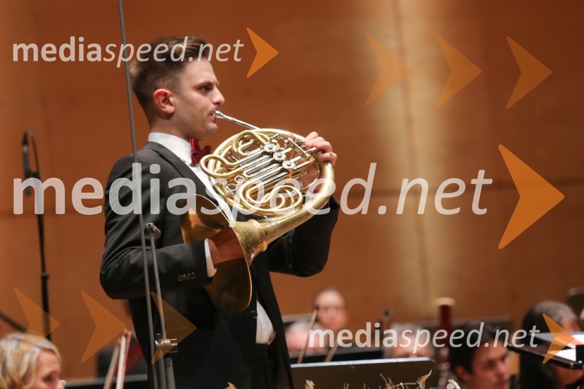  Blaž Ogrič, francoski rogManagerski koncert 2019