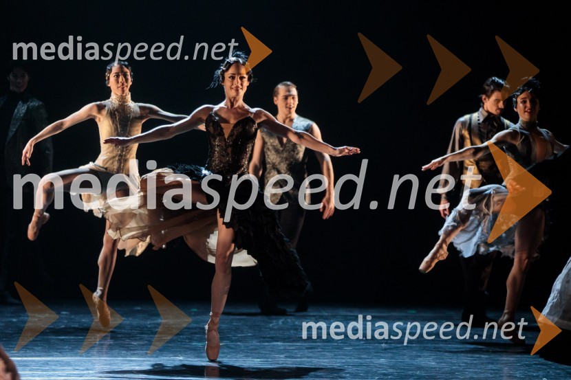 Slovenka leta 2019 je Ninna Kozorog