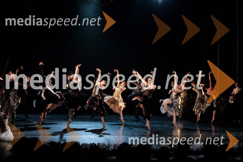 Slovenka leta 2019 je Ninna Kozorog