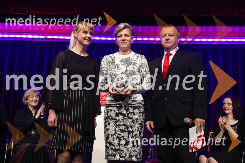 dr. Dora Domajnko, razvojna inženirka, RLS merilna tehnika, Inženirka leta 2018; dr. Aida  Kamišalić Latifić,  Fakulteta za elektrotehniko, računalništvo in informatiko, Univerza v Mariboru;  Darko Švetak, Fakulteta za strojništvo, Univerza v LjubljaniInženirka leta 2019 je Aida Kamišalić Latifić