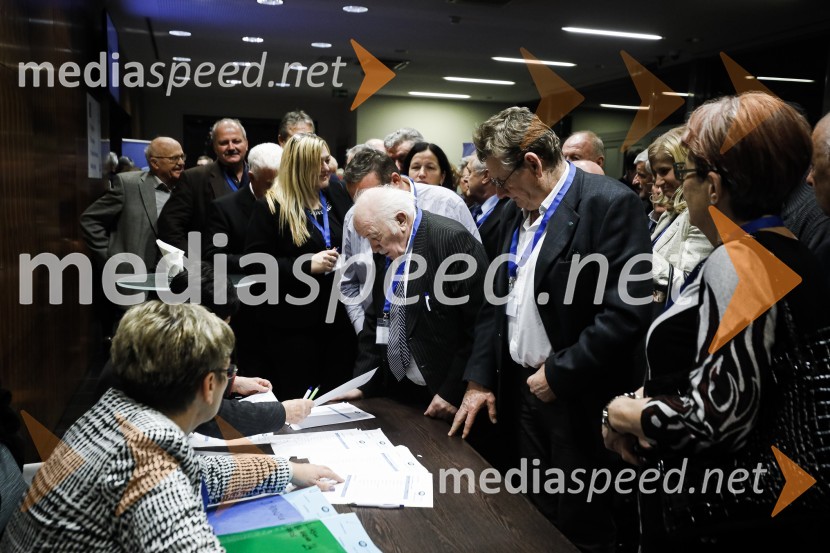 Nova predsednica stranke DESUS je Aleksandra Pivec