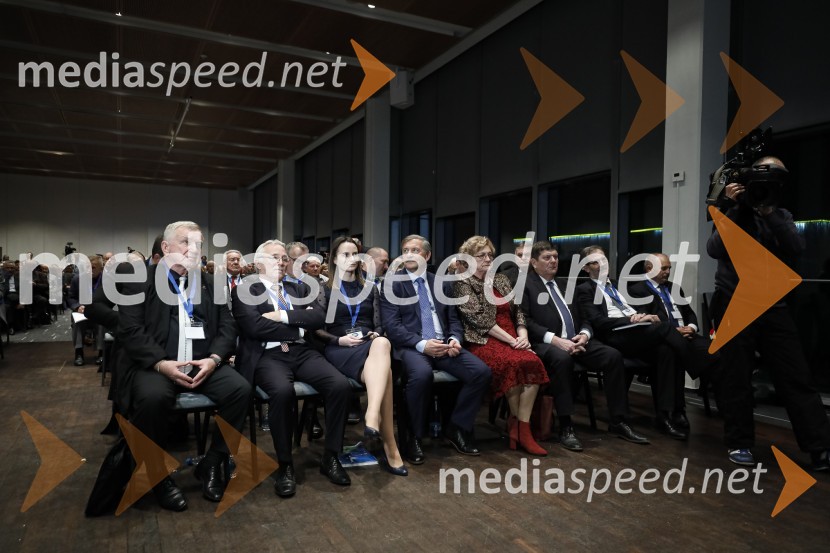 Nova predsednica stranke DESUS je Aleksandra Pivec