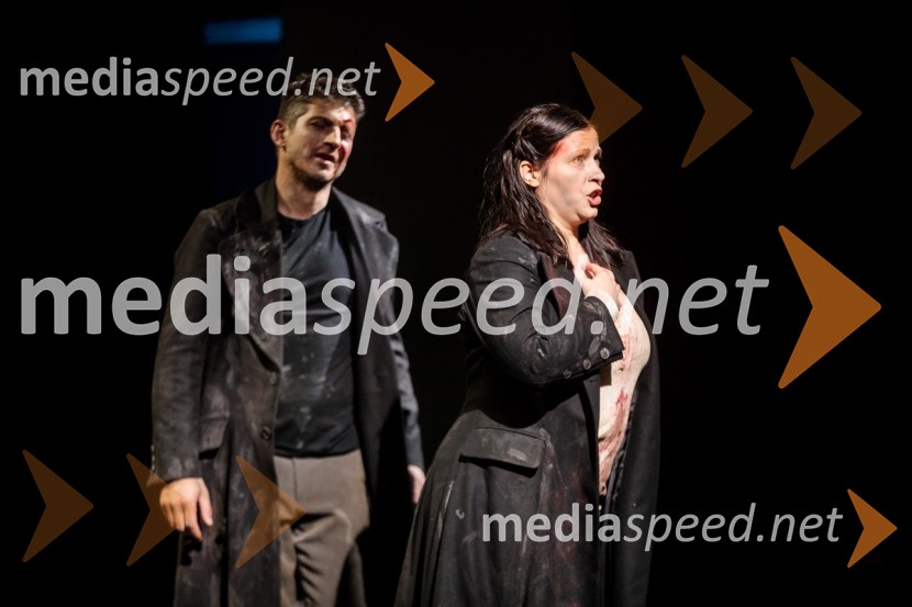  ... ;  Nuška Drašček, pevkaDevica Orleanska, premiera opere