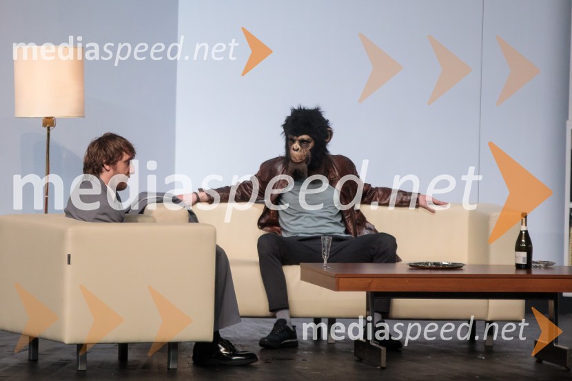 2020, premiera drame