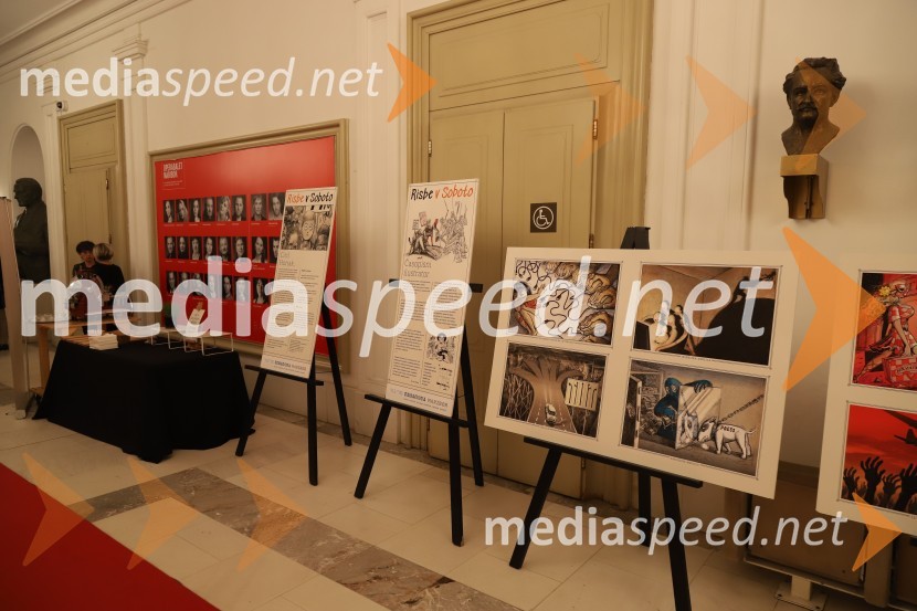 Bob leta 2019 zdravnici in humanitarki Ninni Kozorog