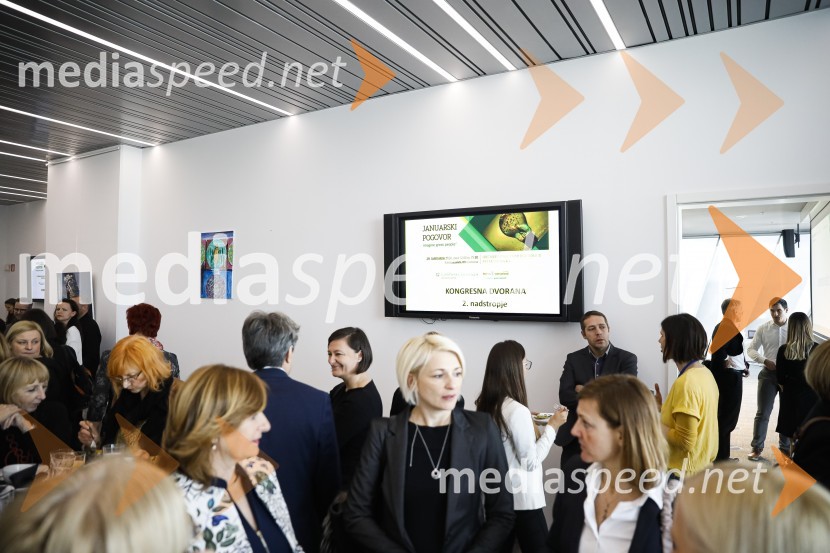 Januarski pogovor, Profiles International