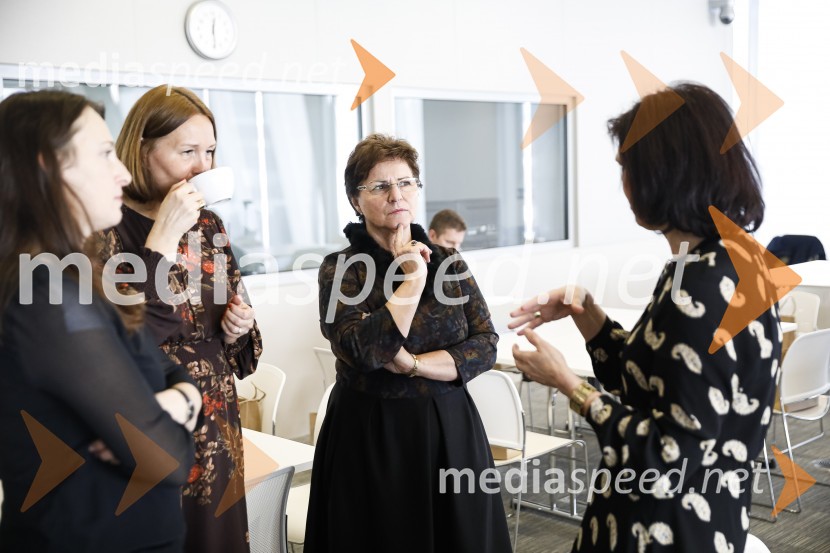 Januarski pogovor, Profiles International