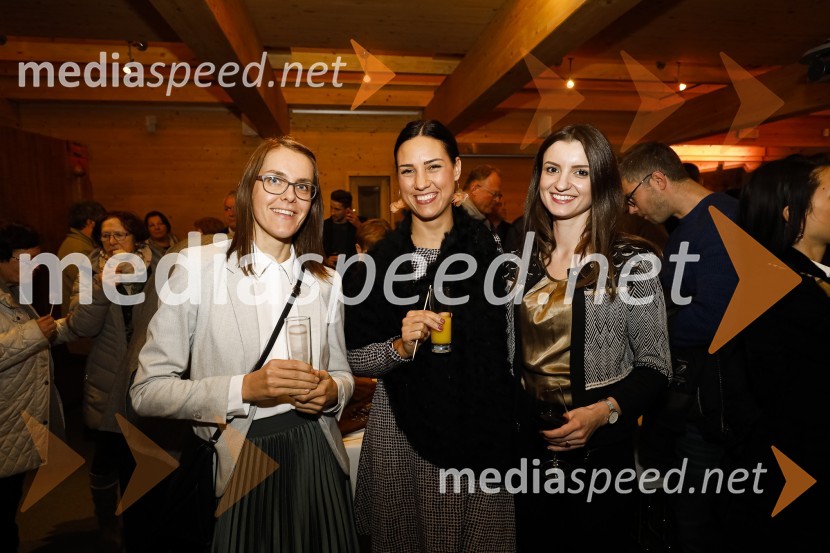 Pogovor o inovativnosti z mag. Metko Svetlin, dr. Mihom Škerlavajem in mag. Tomažem Laniškom