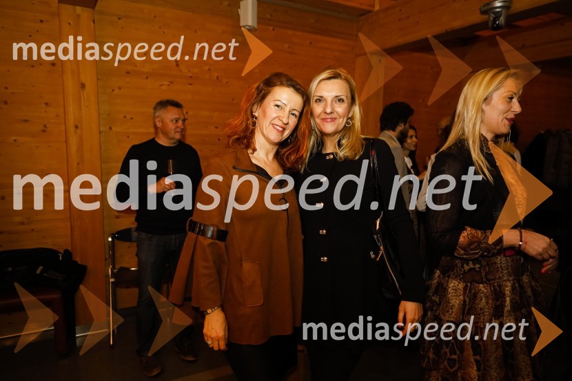 Pogovor o inovativnosti z mag. Metko Svetlin, dr. Mihom Škerlavajem in mag. Tomažem Laniškom