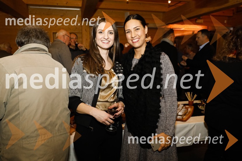 Pogovor o inovativnosti z mag. Metko Svetlin, dr. Mihom Škerlavajem in mag. Tomažem Laniškom