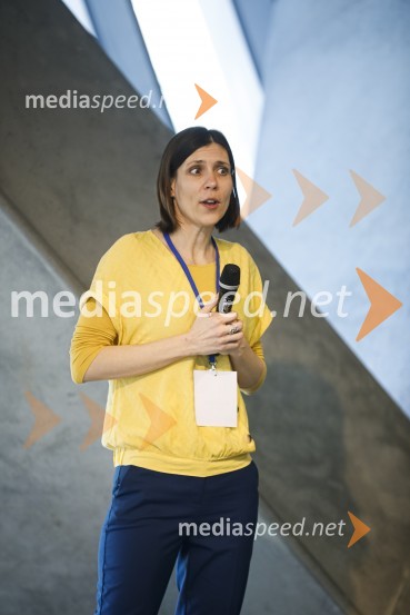 Januarski pogovor, Profiles International