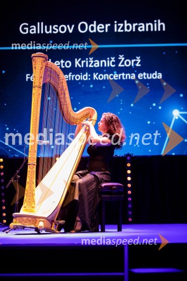 Priznanje za življenjsko delo na področju managementa Jožetu Mermalu, januarsko srečanje Združenja Manager