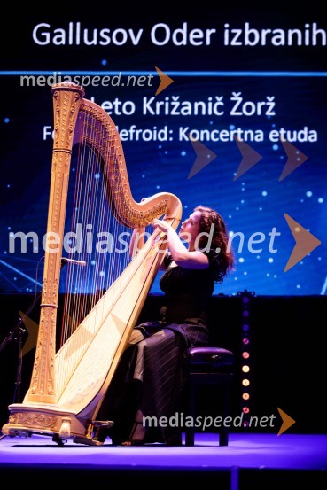 Priznanje za življenjsko delo na področju managementa Jožetu Mermalu, januarsko srečanje Združenja Manager