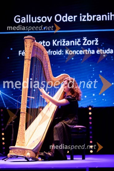 Priznanje za življenjsko delo na področju managementa Jožetu Mermalu, januarsko srečanje Združenja Manager