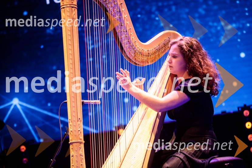 Priznanje za življenjsko delo na področju managementa Jožetu Mermalu, januarsko srečanje Združenja Manager