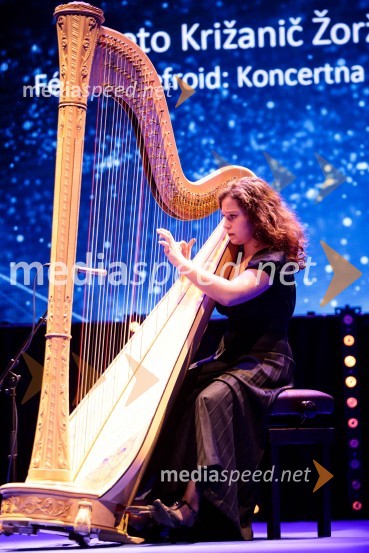 Priznanje za življenjsko delo na področju managementa Jožetu Mermalu, januarsko srečanje Združenja Manager