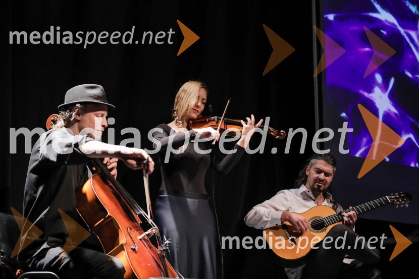 Wild String TrioBeletrina, sprejem