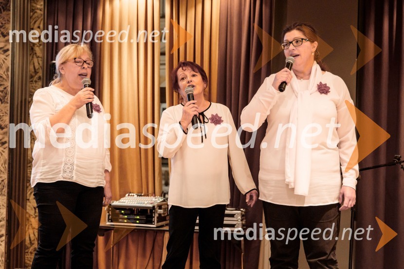 22. Burns-Prešernov večer 2020