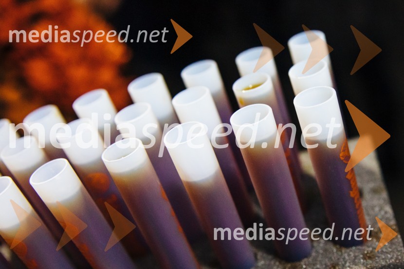 Kurentovanje s Severino