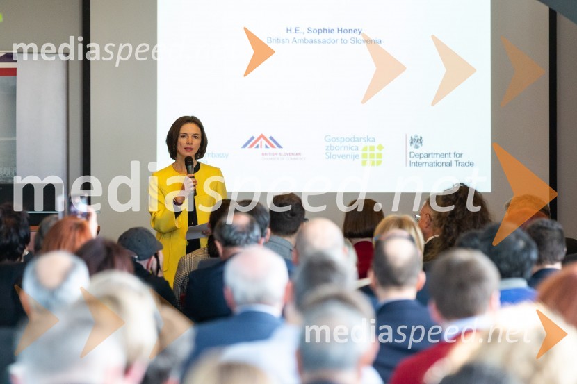  Sophie Honey, veleposlanica Združenega kraljestva Velika Britanija in Severna Irska v Republiki SlovenijiTea with Reason