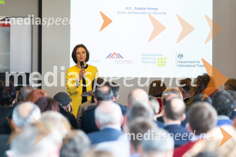  Sophie Honey, veleposlanica Združenega kraljestva Velika Britanija in Severna Irska v Republiki SlovenijiTea with Reason