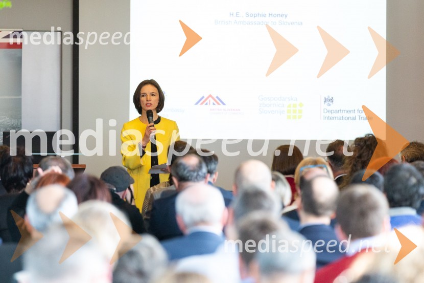  Sophie Honey, veleposlanica Združenega kraljestva Velika Britanija in Severna Irska v Republiki SlovenijiTea with Reason