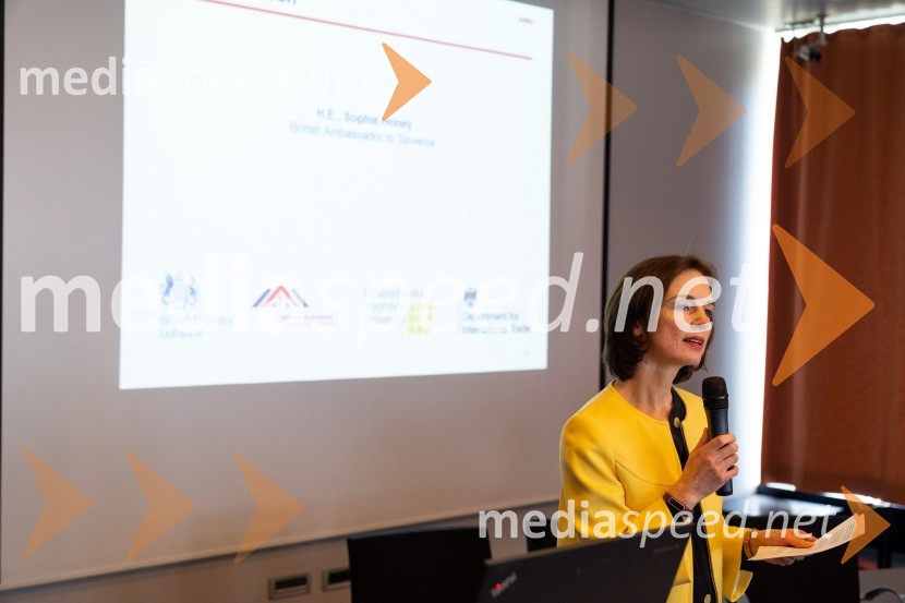  Sophie Honey, veleposlanica Združenega kraljestva Velika Britanija in Severna Irska v Republiki SlovenijiTea with Reason