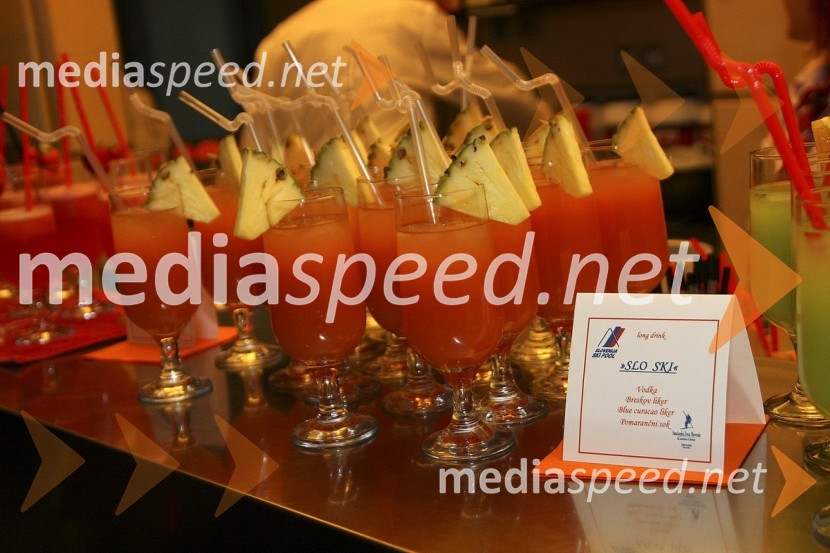 Pogostitev – Coctail Slo SkiSlovenska smučarska reprezentanca - predstavitev za sezono 2008/09