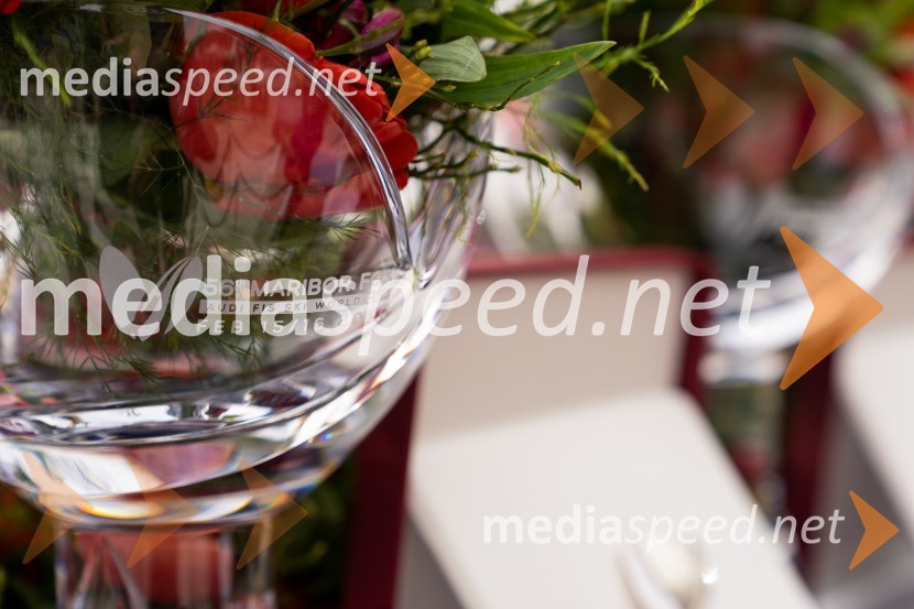 Zlata lisica 2020 VIP druženje, nedelja