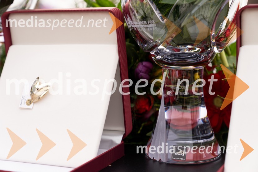 Zlata lisica 2020 VIP druženje, nedelja