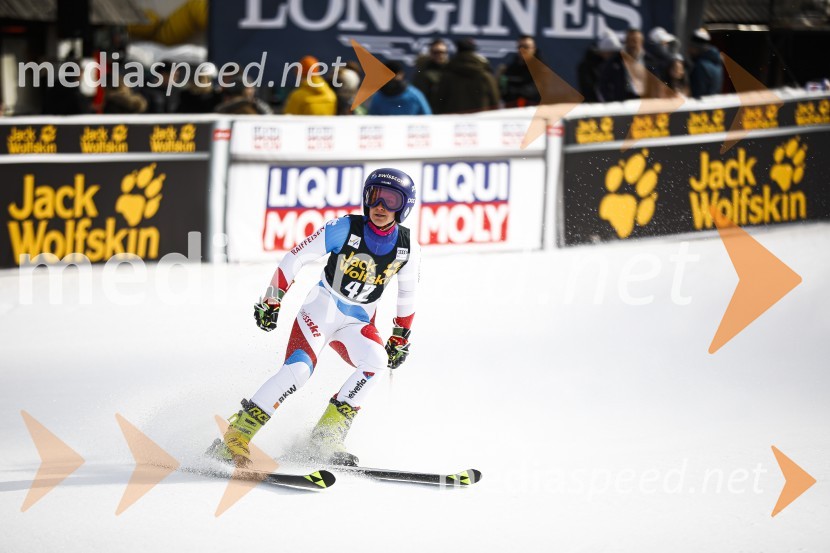 Veleslalomske stopničke Mete Hrovat, Zlata lisica 2020