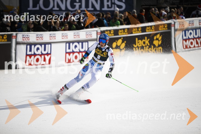 Veleslalomske stopničke Mete Hrovat, Zlata lisica 2020