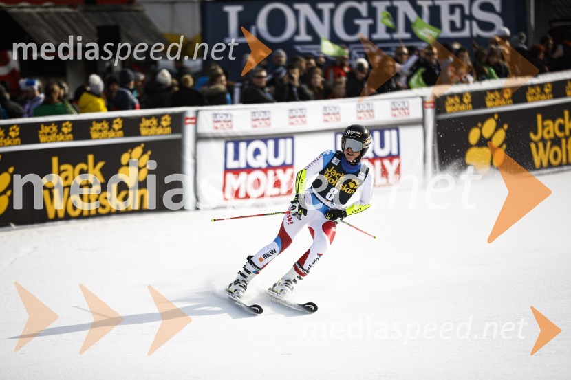 Veleslalomske stopničke Mete Hrovat, Zlata lisica 2020