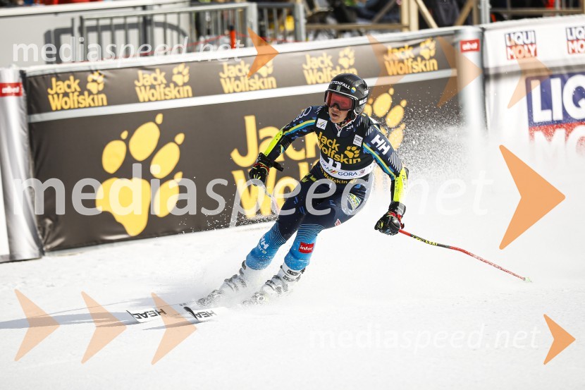 Veleslalomske stopničke Mete Hrovat, Zlata lisica 2020